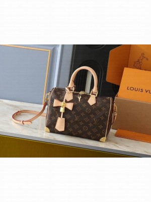 Louis Vuitton LV x TM Speedy Bandouliere 25 M13805