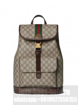 Gucci Ophidia Small Backpack Dark Coffee