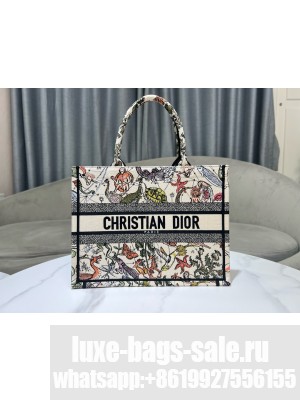Medium Dior Book Tote Embroidery M1296ZESJ