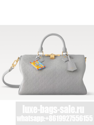 Louis Vuitton Speedy Soft 30 M25670 Cloud Gray