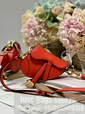 DIOR MICRO SADDLE BAG Antique Goatskin S5685CC orange