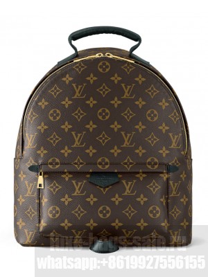 Louis Vuitton Palm Springs MM M44874 Brown