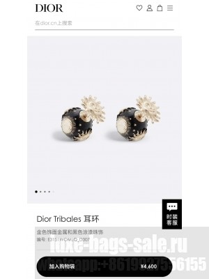 Chanel Earrings AB8233 2024