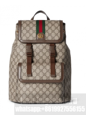 GUCCI AOPHIDIA SMALL GG BACKPACK 792114 Brown