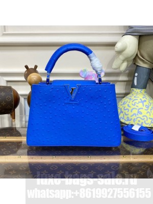 Louis Vuitton CAPUCINES BB M48865 blue