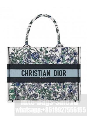 Christian Dior Medium Dior Book Tote Blue