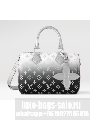 Louis Vuitton Speedy Bandouliere 25 M11848 Frost