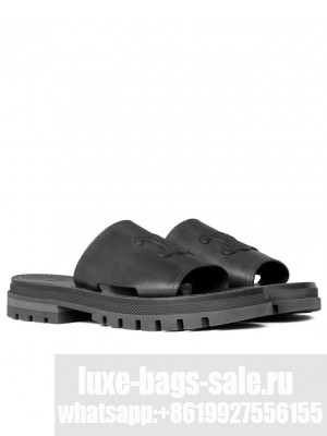 Celine Women's Clea Triomphe Slide In Vegetable Black
