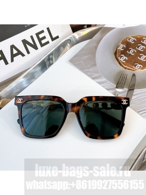 Chanel Sun glasses 2023 CH003