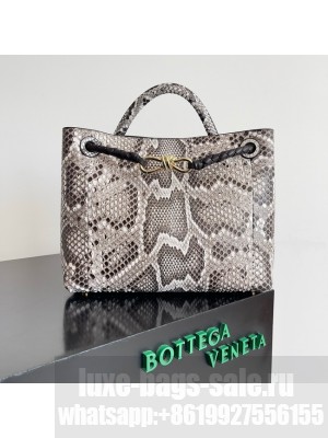 Bottega Veneta Medium Andiamo snake skin 766016 gray