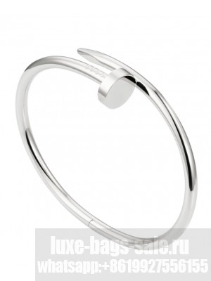 Cartier Juste un Clou bracelet 6062517