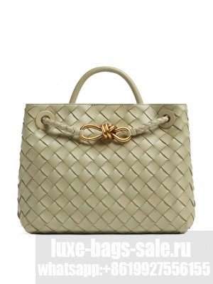Bottega Veneta Small Andiamo Green