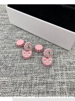 Bottega Veneta Earrings 014