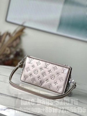 Louis Vuitton Leather M81828 silvery grey