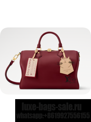 Louis Vuitton Speedy Soft 30 M25766 Plum