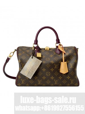 Louis Vuitton Speedy 30 Soft Celebration M28379 Brown