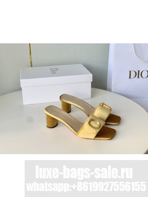 Dior C'est Dior Heeled Slide Sandals 4.5cm in Velvet with CD Letters 2023 yellow