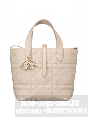 Christian Dior Small Dior Toujours Vertical Tote Bag Apricot