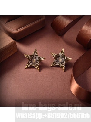 Saint Laurent Earrings 2022 Collection 029