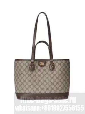 GUCCI OPHIDIA GG MINI TOTE BAG 765043 brown