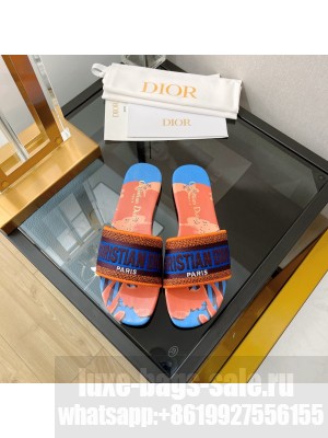 Dior DWAY SLIDE Orange Embroidered Cotton 2022 Collection