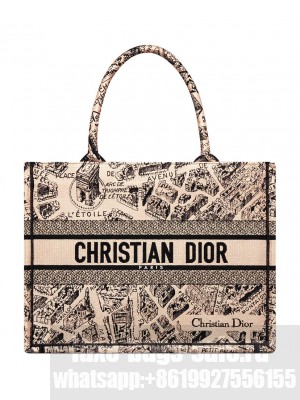Christian Dior Medium Dior Book Tote Apricot