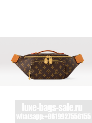 Louis Vuitton Rush Bumbag M14019