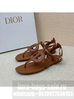 Christian Dior D-CLUB Flat Thong Sandals Brown 2022 Collection