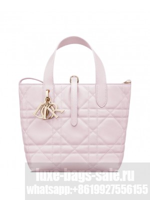 Christian Dior Small Dior Toujours Vertical Tote Bag Pink
