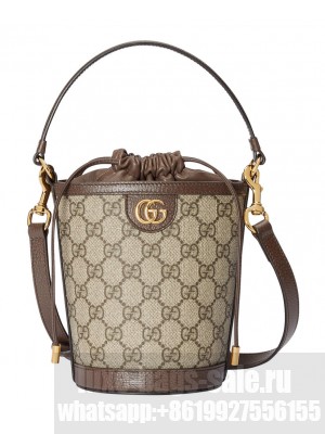 Gucci Ophidia Mini Bucket Bag 760199 Dark Coffee