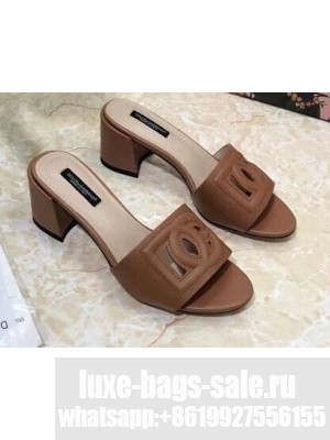 Dolce & Gabbana Heel 6.5cm Calfskin Mules Brown With DG Millennials Logo 2021