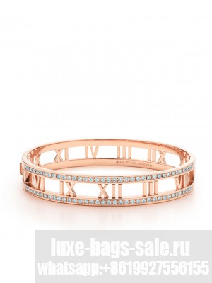 Tiffany Open Hinged Bangle Golden