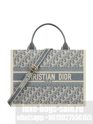 Christian Dior Book Tote Medium Blue