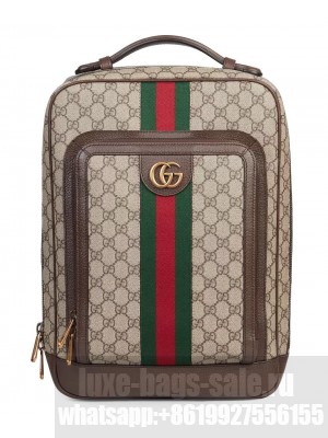 Gucci Ophidia GG Medium Backpack 745718 Dark Coffee
