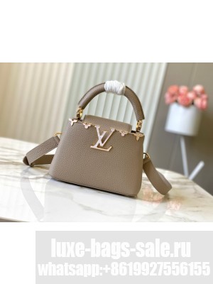 Louis Vuitton Capucines Mini M11341 gray
