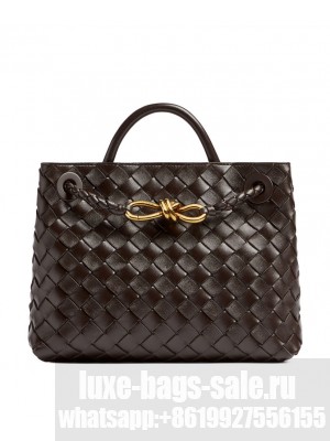 Bottega Veneta Small Andiamo Dark Coffee