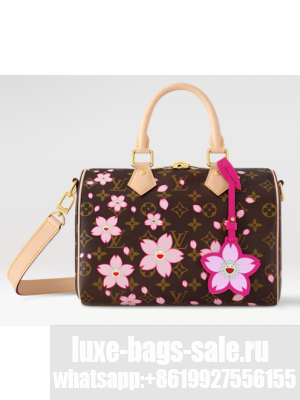 Louis Vuitton NEW LV x TM Speedy Bandouliere 25 M14174