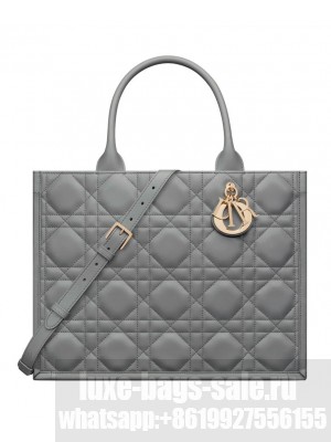 Christian Dior Medium Dior Book Tote Gray