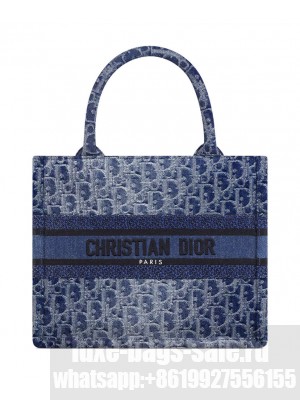 Christian Dior Small Dior Book Tote Blue