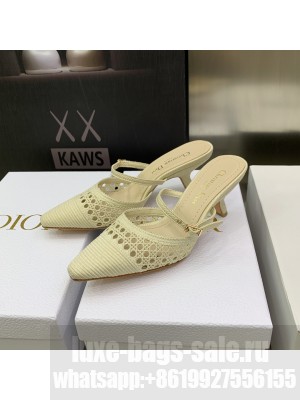 DIOR HEEL 6.5CM MESH CANNAGE EMBROIDERY CAPTURE MULES CREAMY 2022 COLLECTION