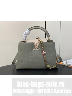 Louis Vuitton Capucines MM M22674 gray
