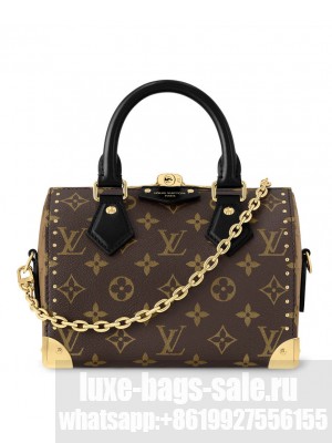 Louis Vuitton Speedy Trunk 20 M13146 Brown