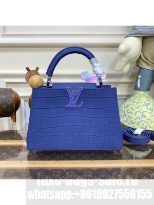 Louis Vuitton CAPUCINES BB N93164 blue