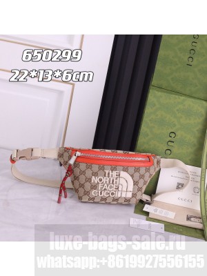 Gucci and The North Face Belt Bag 650299 Orange