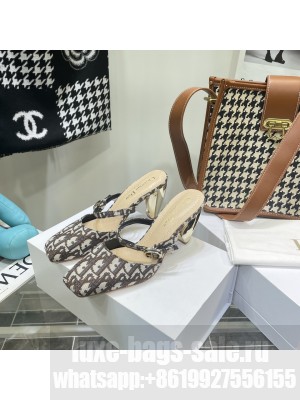 Christian Dior Brown Dior Oblique Slingback  Rhodes Pumps 2022 Collection