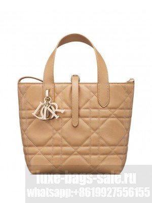 Christian Dior Small Dior Toujours Vertical Tote Bag Coffee