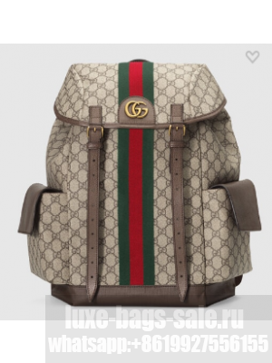 Gucci Ophidia GG medium backpack 598140