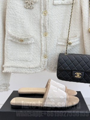 Chanel Mesh & Suede Slide Flat Beige 2025