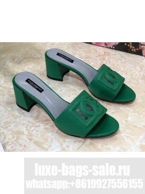 Dolce & Gabbana Heel 6.5cm Calfskin Mules Green With DG Millennials Logo 2021