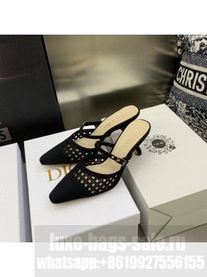 DIOR HEEL 6.5CM MESH CANNAGE EMBROIDERY CAPTURE MULES BLACK 2022 COLLECTION